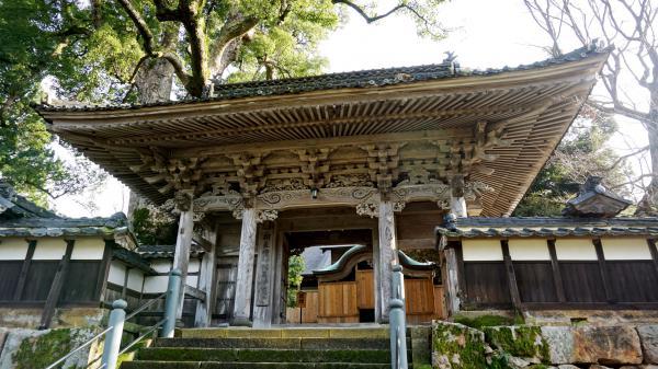https://www.db.kansai-maas.jp/image/photos/378b3393-13a0-479a-a88f-e46df8cfa0a7.jpg