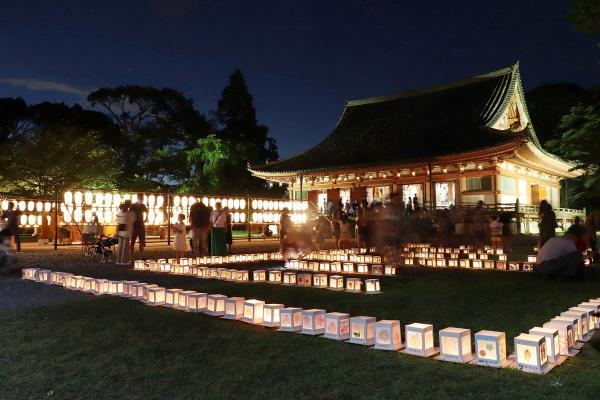 https://www.db.kansai-maas.jp/image/photos/381c4287-24e0-4f87-93f7-b2f534d04841.jpg