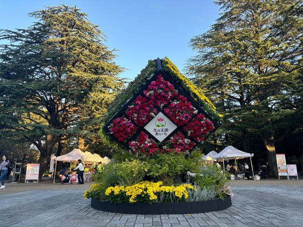https://www.db.kansai-maas.jp/image/photos/3831ef5e-d63f-4ce1-891c-4d0efa4b0fa6.jpg