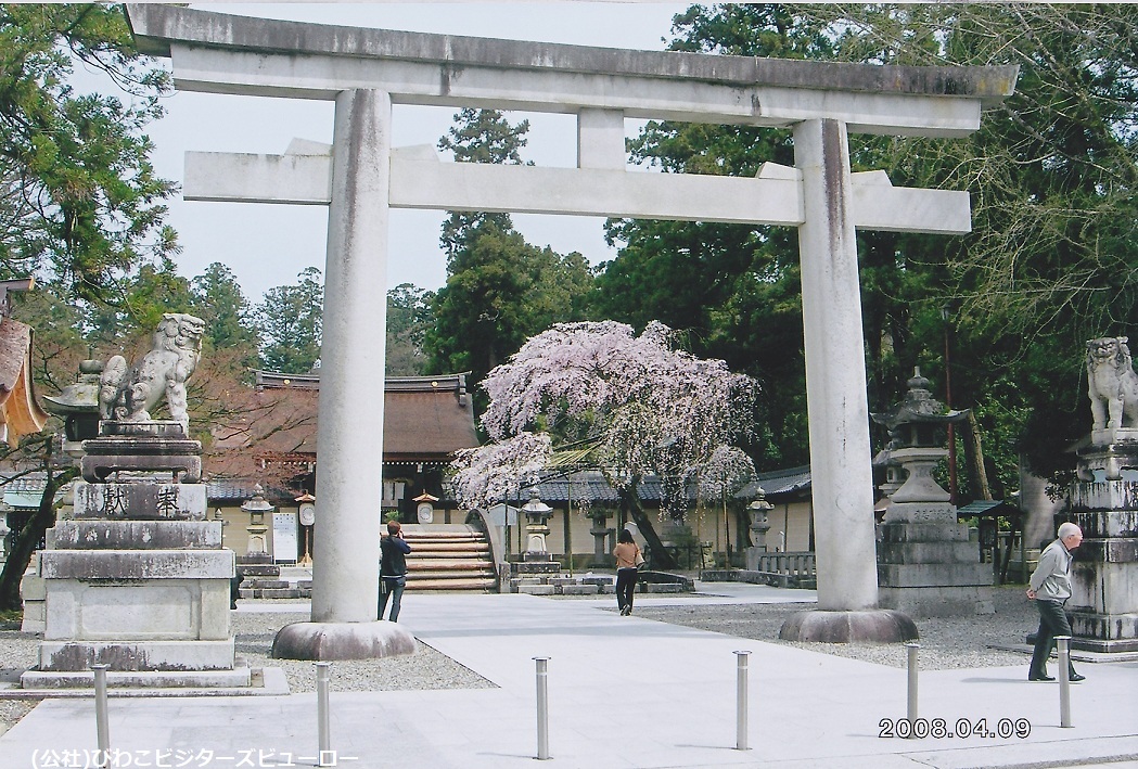 https://www.db.kansai-maas.jp/image/photos/38ba4582-8bc3-4514-8d4c-881fa49095c1.jpg