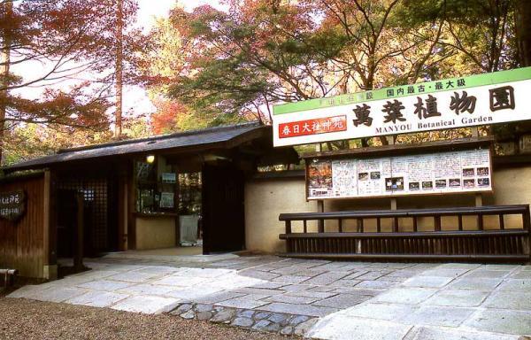 https://www.db.kansai-maas.jp/image/photos/395c05e8-b0a3-4043-aa00-9695fbf9f44e.jpg