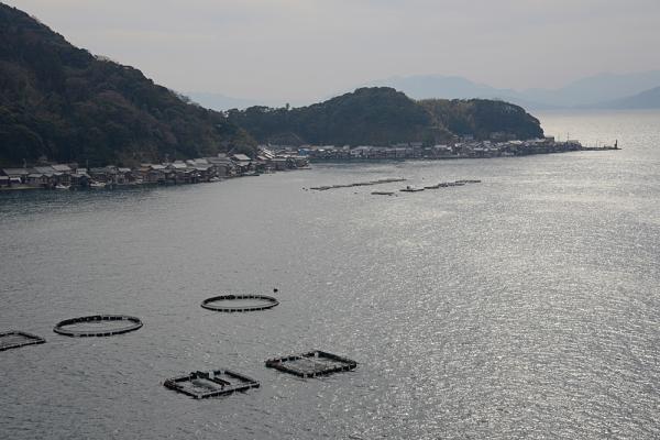 https://www.db.kansai-maas.jp/image/photos/3a43cfd3-967e-46ac-83e8-5279e1ab1125.jpg