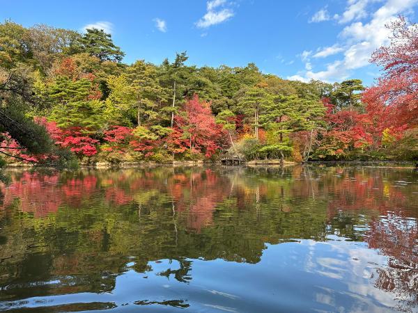 https://www.db.kansai-maas.jp/image/photos/3abd966f-9f2a-4326-a2b8-389d42a856d5.jpg