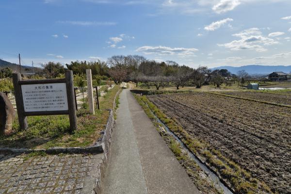 https://www.db.kansai-maas.jp/image/photos/3b3ad57c-3d5f-49d3-ad9a-2bd8b7747ed9.jpg