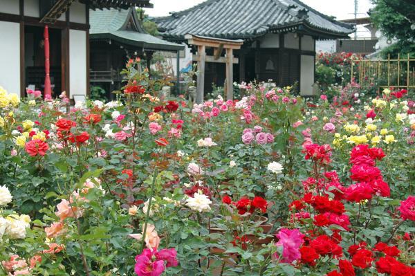 https://www.db.kansai-maas.jp/image/photos/3b883527-30cd-41c6-bb04-ae0a48b29451.jpg