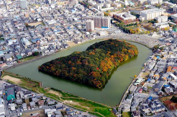 https://www.db.kansai-maas.jp/image/photos/3d654160-2aea-42eb-98d8-ce767b81507f.jpg