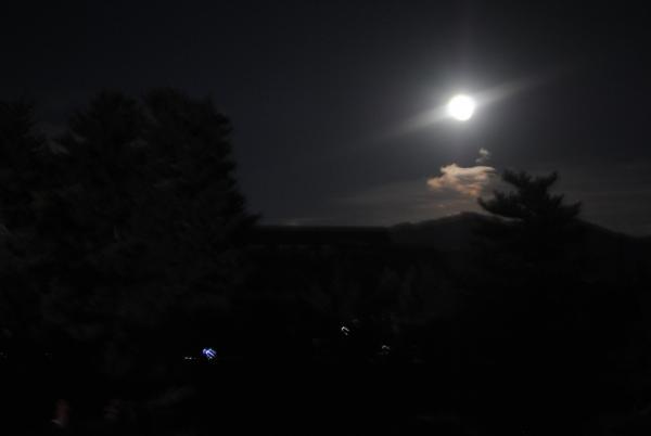 https://www.db.kansai-maas.jp/image/photos/3d69465c-46f4-450d-a479-75a5371bf99c.jpg