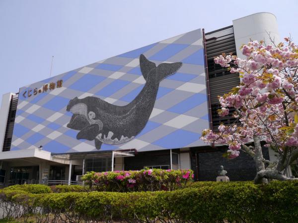 https://www.db.kansai-maas.jp/image/photos/3d8cce4f-c3a7-41e6-9b8c-2313c53ee1e2.jpg