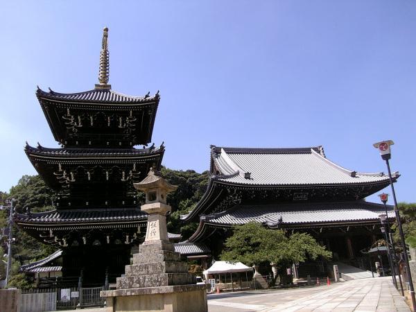https://www.db.kansai-maas.jp/image/photos/3dd80929-a2dd-420e-a6f0-36622af4c064.jpg