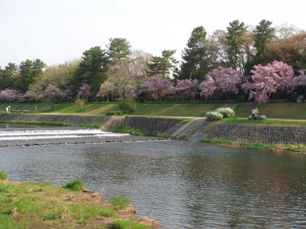 https://www.db.kansai-maas.jp/image/photos/3e171ca1-ae01-4e7b-a05d-b185b8e4740e.jpg