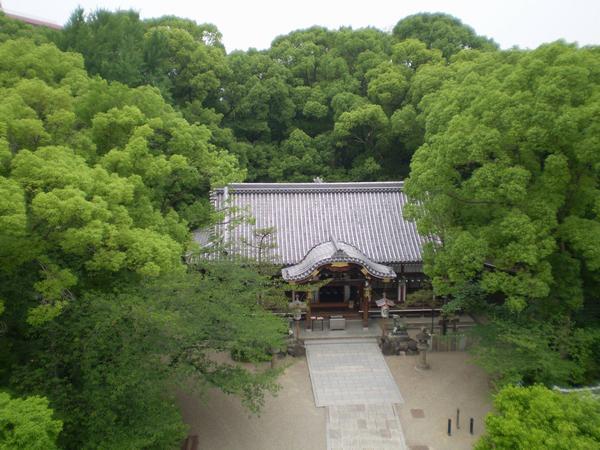 https://www.db.kansai-maas.jp/image/photos/3e716dca-d0d4-4770-a8ad-53085652fda1.jpg