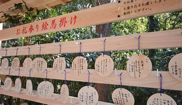 https://www.db.kansai-maas.jp/image/photos/3f8110ac-0406-44d4-9f94-5c5790a16432.jpg