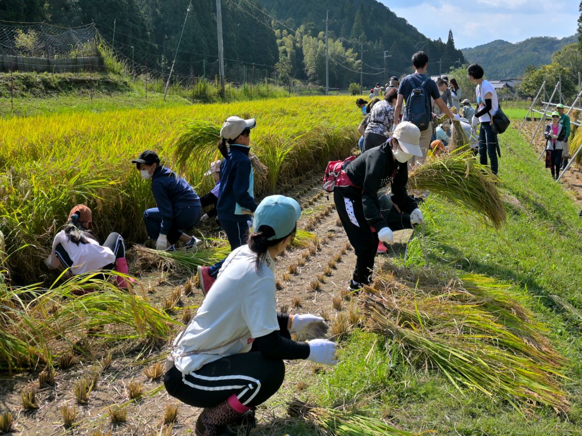 https://www.db.kansai-maas.jp/image/photos/3fb8d054-230a-4396-9c8a-0076f6230406.JPG