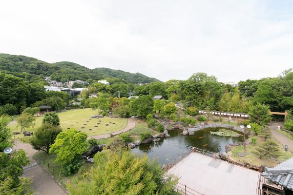https://www.db.kansai-maas.jp/image/photos/40050cad-6096-46db-8bfa-d05ca7da85a5.jpg