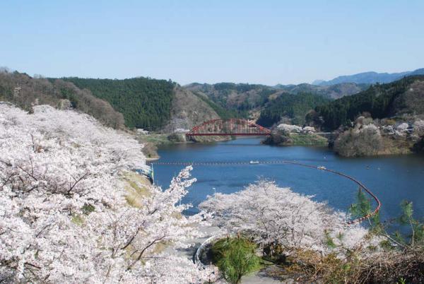 https://www.db.kansai-maas.jp/image/photos/41695524-b02e-4f03-a284-09a62a5bba58.jpg
