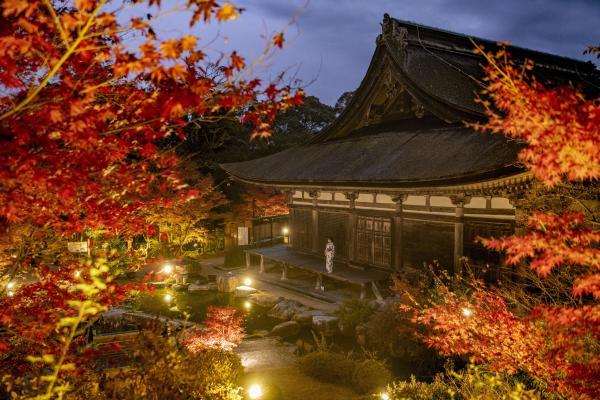 https://www.db.kansai-maas.jp/image/photos/420ad52b-b00e-4747-8b63-d43de1661e25.jpg