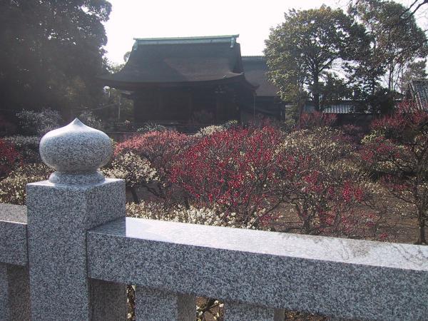 https://www.db.kansai-maas.jp/image/photos/421994b9-e2f3-439d-b57f-9cb0cdc2a9f9.jpg