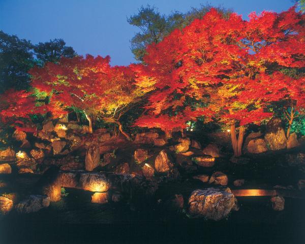 https://www.db.kansai-maas.jp/image/photos/4326df01-3f27-491a-ad41-cfb8e36edaa4.jpg