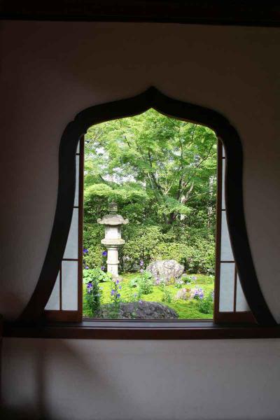 https://www.db.kansai-maas.jp/image/photos/434bca95-a16f-4180-8584-2487227b663b.jpg