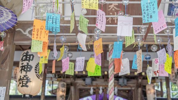 https://www.db.kansai-maas.jp/image/photos/4408b863-3ce8-47df-8b89-98237e9a77b2.jpg