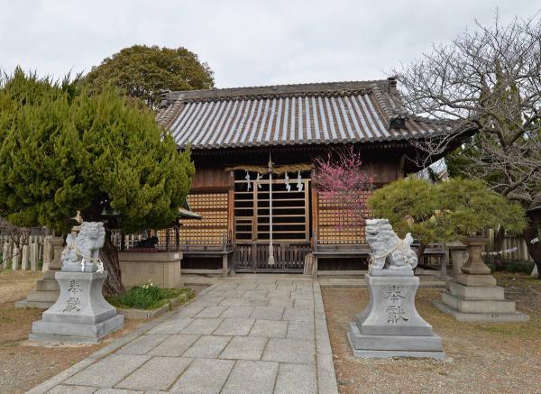 https://www.db.kansai-maas.jp/image/photos/45621146-3fdb-4f63-8d57-5b8b758adbad.jpg
