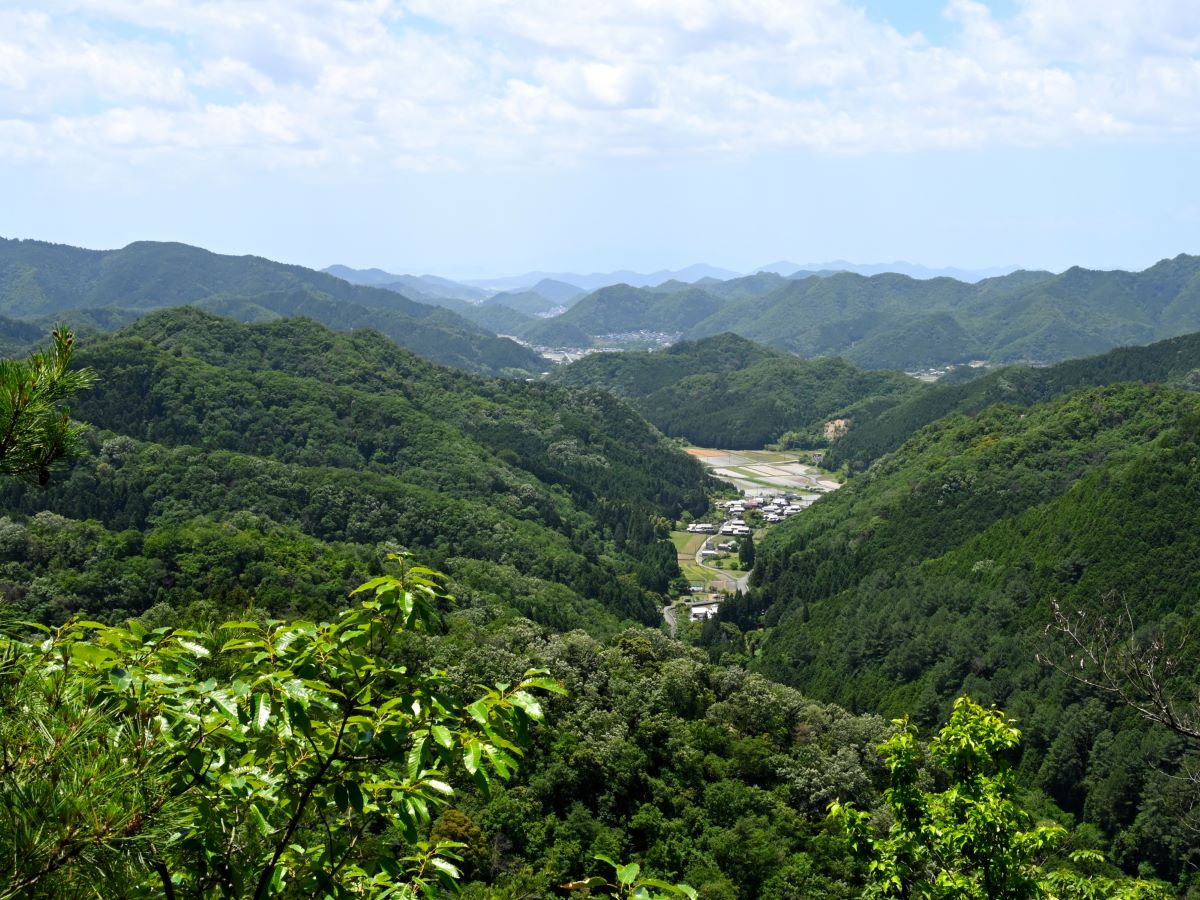 https://www.db.kansai-maas.jp/image/photos/45bb4de9-4669-4491-b5d8-dc312f6fd6b2.JPG