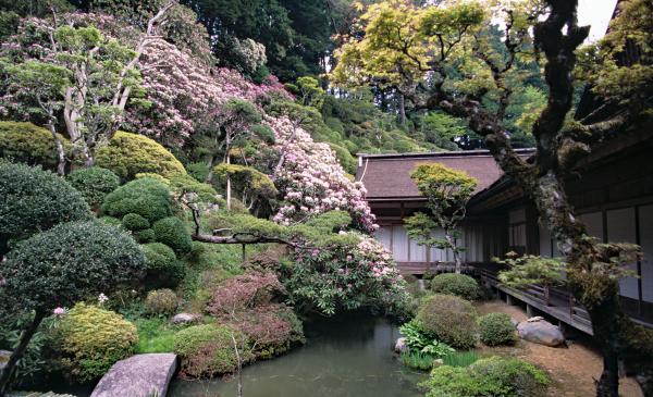 https://www.db.kansai-maas.jp/image/photos/45c9b926-6cce-43ba-b219-38837432c6b7.jpg