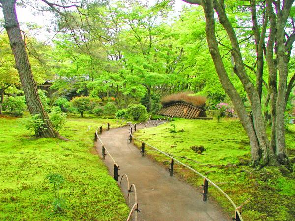 https://www.db.kansai-maas.jp/image/photos/46169074-62e6-47b0-9f26-bf4267f34cc2.jpg