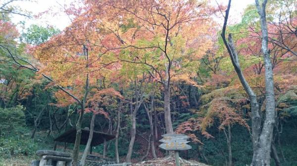 https://www.db.kansai-maas.jp/image/photos/462ae23e-4399-44ec-8f90-83823f6baa85.jpg