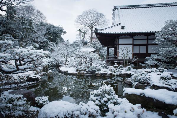 https://www.db.kansai-maas.jp/image/photos/462dc839-ceda-4518-aaf8-0a45c405f8b5.jpg