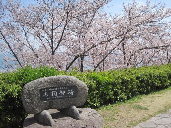 https://www.db.kansai-maas.jp/image/photos/466656c8-8c87-4064-81ad-27b817ed8cab.jpg