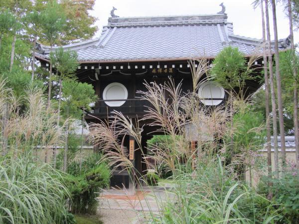 https://www.db.kansai-maas.jp/image/photos/469e609e-e9af-47cd-9d35-3bd1959a0a9d.jpg