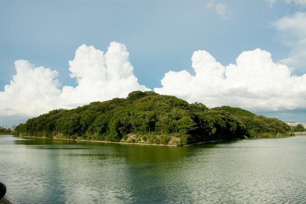 https://www.db.kansai-maas.jp/image/photos/46b011e9-cce9-4b7e-8023-987c3bfcae0b.jpg