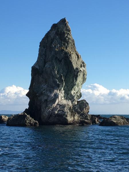 https://www.db.kansai-maas.jp/image/photos/46cb4ce5-7d21-4f3e-a203-23a15cee4851.jpg