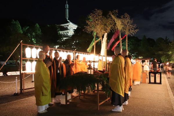 https://www.db.kansai-maas.jp/image/photos/46df2edc-1578-424a-bcdb-7e631b4df56b.jpg