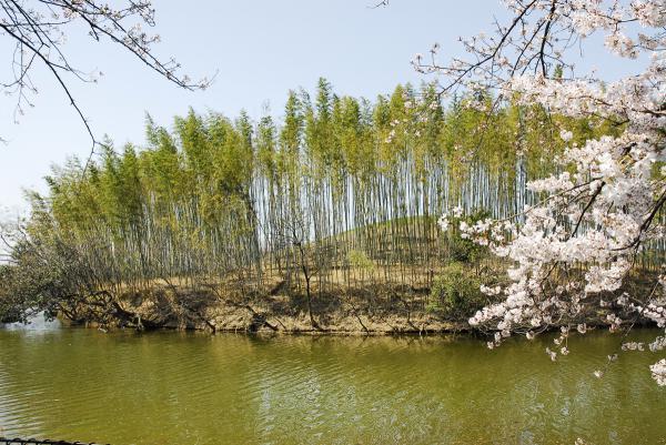 https://www.db.kansai-maas.jp/image/photos/471cb62a-7039-40c0-b11e-dec49ab37c94.jpg