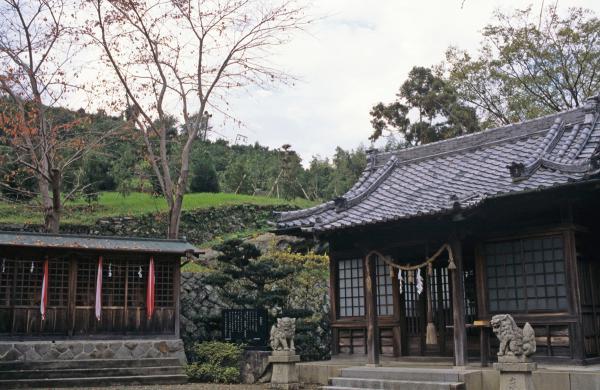 https://www.db.kansai-maas.jp/image/photos/47285d1b-98d2-4de8-80b4-d2ff7fdc65f5.jpg