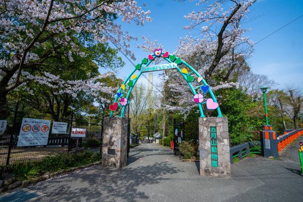 https://www.db.kansai-maas.jp/image/photos/485f938a-130a-4000-be83-525cdd4cbb4d.jpg