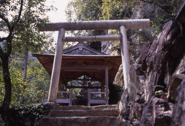 https://www.db.kansai-maas.jp/image/photos/48b509f1-553e-4e64-bdc0-2cfed711a52d.jpg