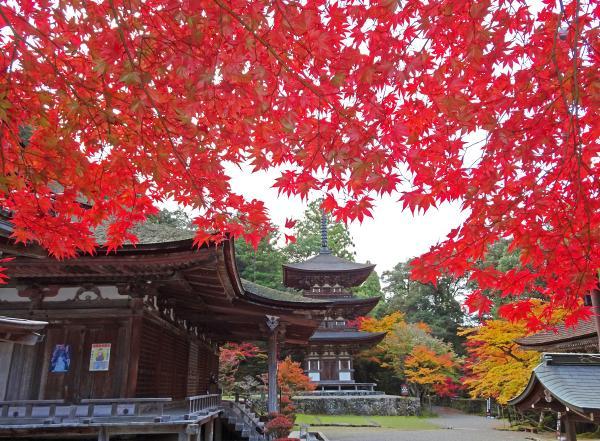 https://www.db.kansai-maas.jp/image/photos/48d5ea51-f7c3-4e9e-80f0-0a5a0b69815a.jpg