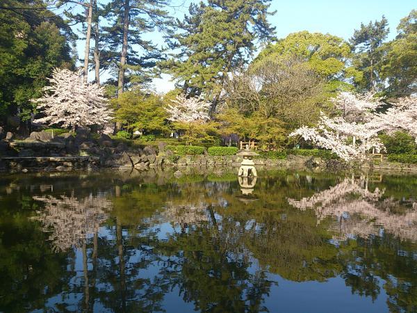 https://www.db.kansai-maas.jp/image/photos/4905a4ab-8dd4-4b3d-928b-d0bcb5030665.jpg