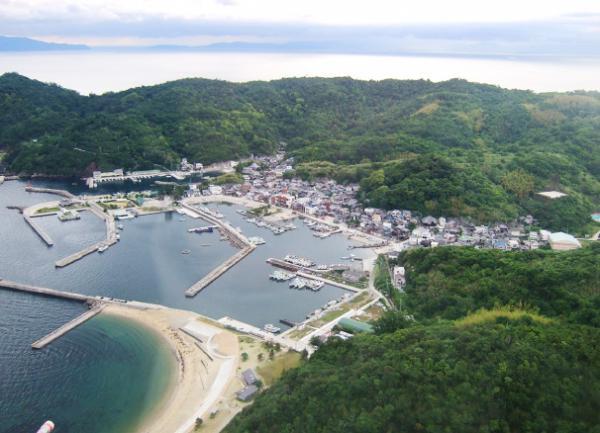 https://www.db.kansai-maas.jp/image/photos/49350f68-dc43-4386-aaa6-370b35958098.jpg