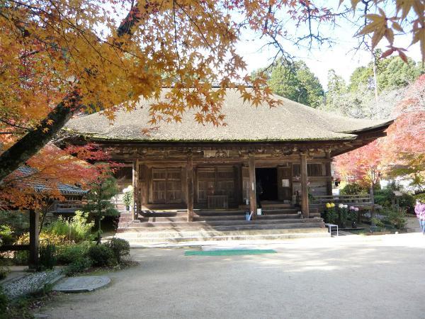 https://www.db.kansai-maas.jp/image/photos/4a878cf7-6c17-4ea3-ba86-bc40c19e42e8.jpg