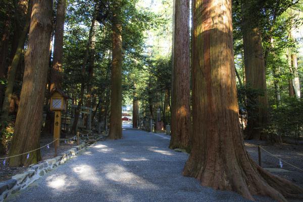 https://www.db.kansai-maas.jp/image/photos/4b0d65b9-bc91-4172-87e8-237b4196b807.jpg