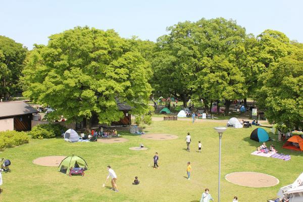 https://www.db.kansai-maas.jp/image/photos/4b4b5d10-a19a-4d23-940a-3bebdf6c3324.jpg