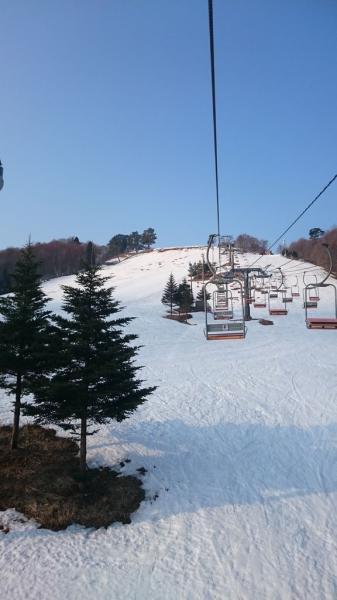 https://www.db.kansai-maas.jp/image/photos/4c6e6e78-7bc3-4557-80b5-14d98f595257.jpg