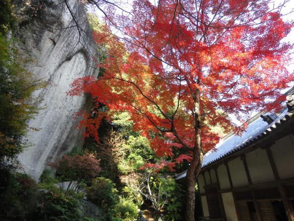 https://www.db.kansai-maas.jp/image/photos/4c871129-fbda-4be8-8ae3-8ae58099a26a.jpg