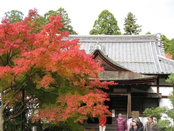 https://www.db.kansai-maas.jp/image/photos/4da9109a-c695-445b-9806-30fadfb46060.jpg