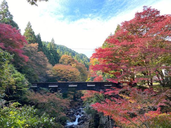 https://www.db.kansai-maas.jp/image/photos/4e4d2565-9165-4d84-97ed-f9a475256dd6.jpg