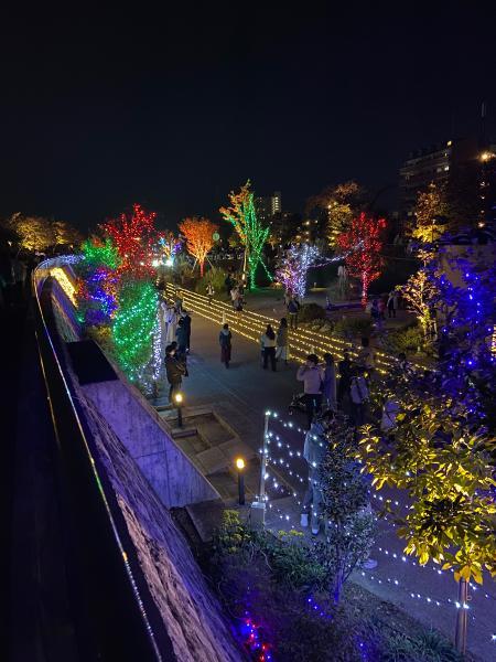 https://www.db.kansai-maas.jp/image/photos/4e68cc54-cef1-4723-b946-a0a945ac53c4.jpg